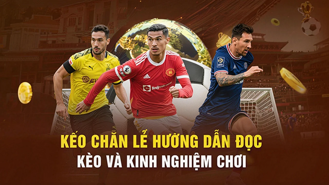 Ứng dụng Android trên VWIN – bước kiểm tra thực tế